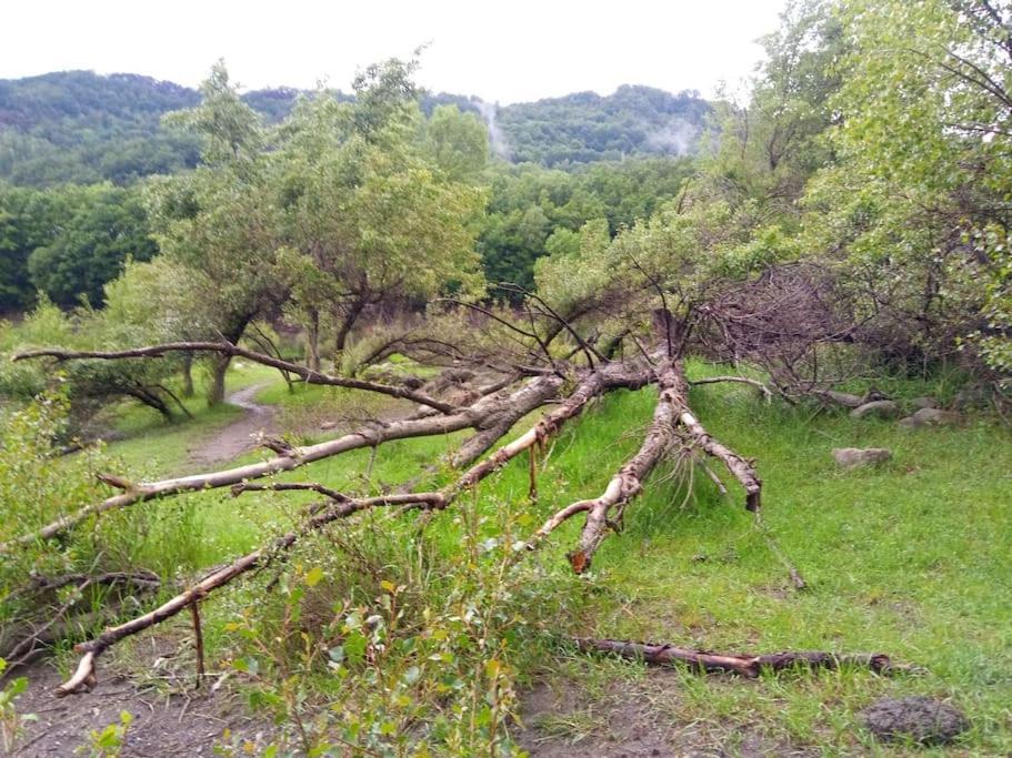 Apartament Atico En Pleno Pirineo El Pueyo de Jaca Zewnętrze zdjęcie