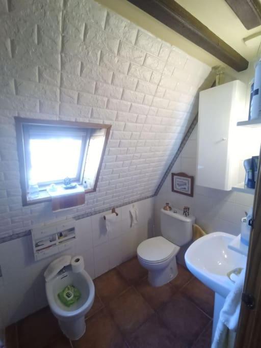 Apartament Atico En Pleno Pirineo El Pueyo de Jaca Zewnętrze zdjęcie