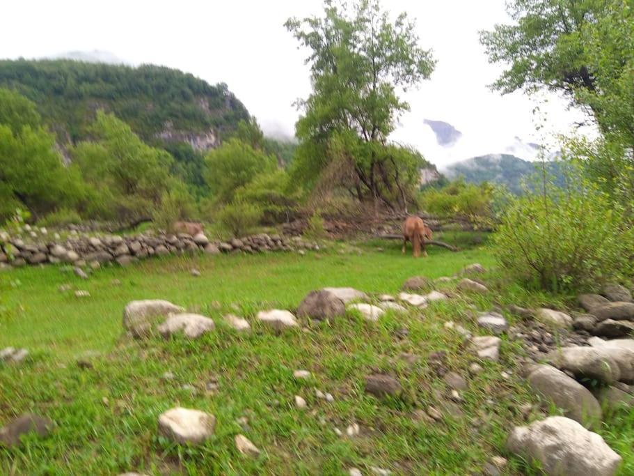 Apartament Atico En Pleno Pirineo El Pueyo de Jaca Zewnętrze zdjęcie