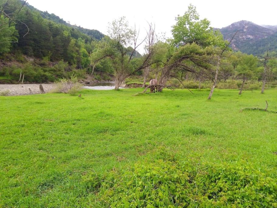 Apartament Atico En Pleno Pirineo El Pueyo de Jaca Zewnętrze zdjęcie